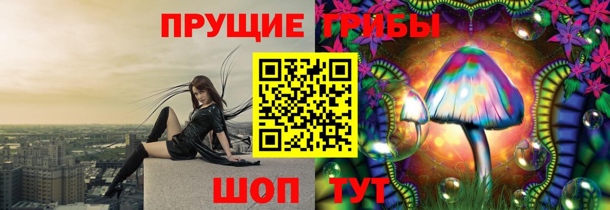 Галлюциногенные грибы Cubensis Михайловка