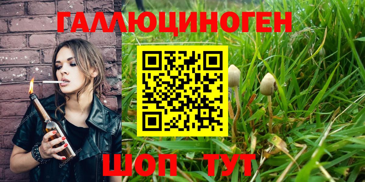 где купить наркотик  Галлюциногенные грибы ЛСД  Вход с VPN  Михайловка 
